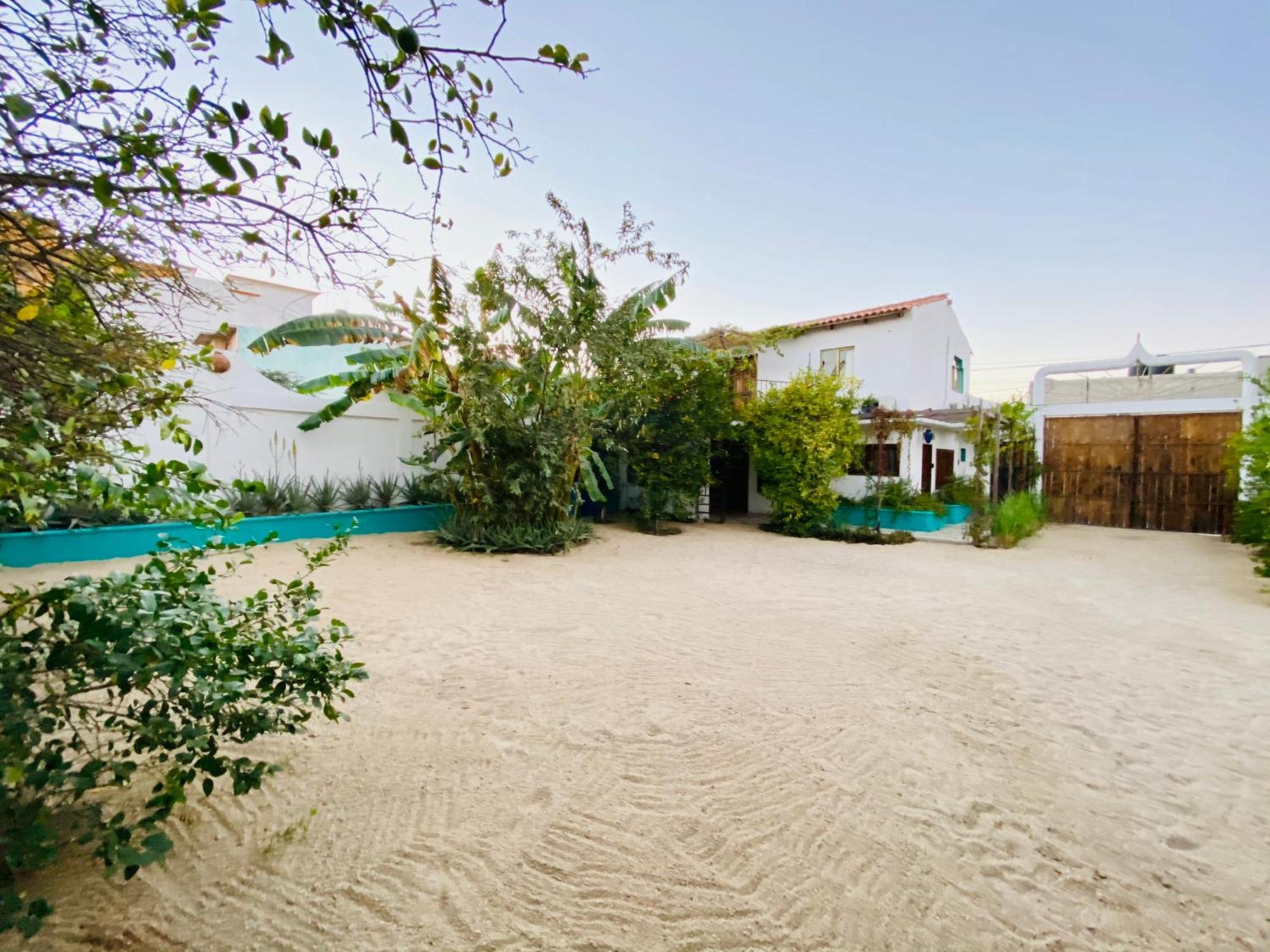 Cabo Bohemia Tropical Garden Studios Cabo San Lucas Exterior foto