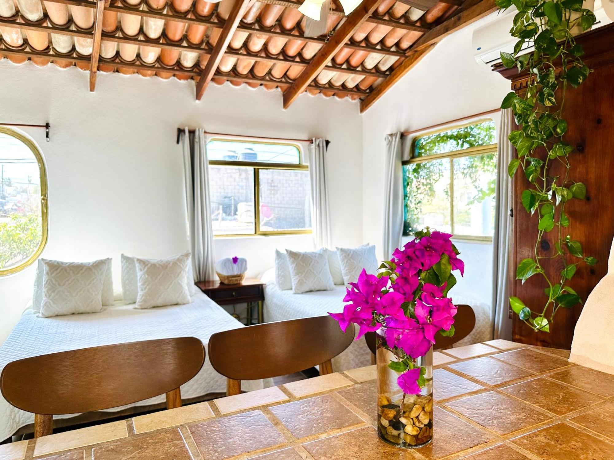 Cabo Bohemia Tropical Garden Studios Cabo San Lucas Exterior foto