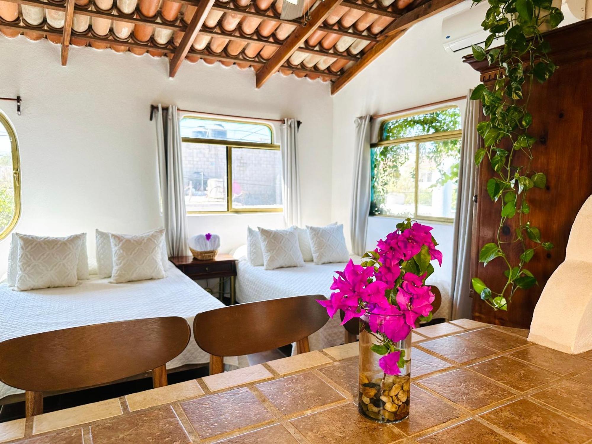 Cabo Bohemia Tropical Garden Studios Cabo San Lucas Exterior foto