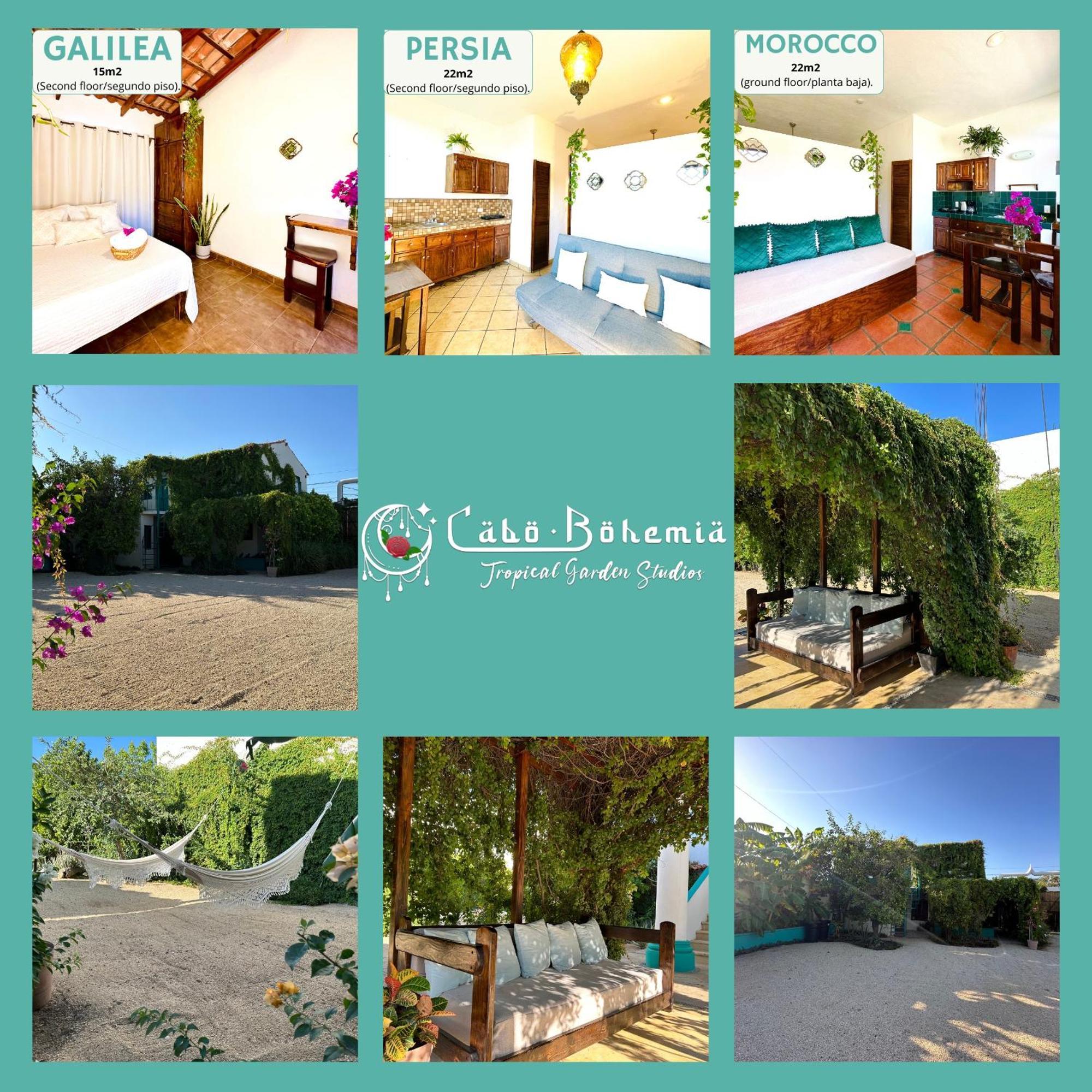 Cabo Bohemia Tropical Garden Studios Cabo San Lucas Exterior foto